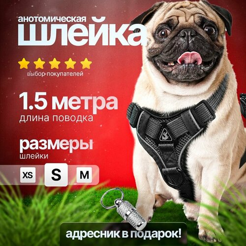 Шлейка для собак средних пород с поводком PetPaw серая, размер S