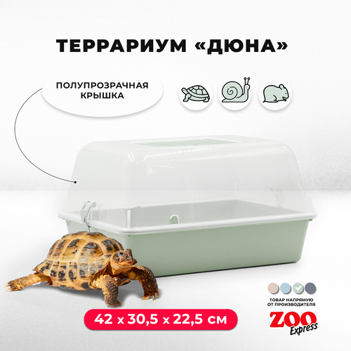 Террариум ZOOexpress ДЮНА для улиток и мелких грызунов, 42х30,5х22,5 см, светло-зеленый (полупрозрачная крышка)