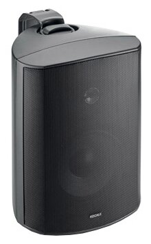 Focal 100 OD 6 black Всепогодная акустика