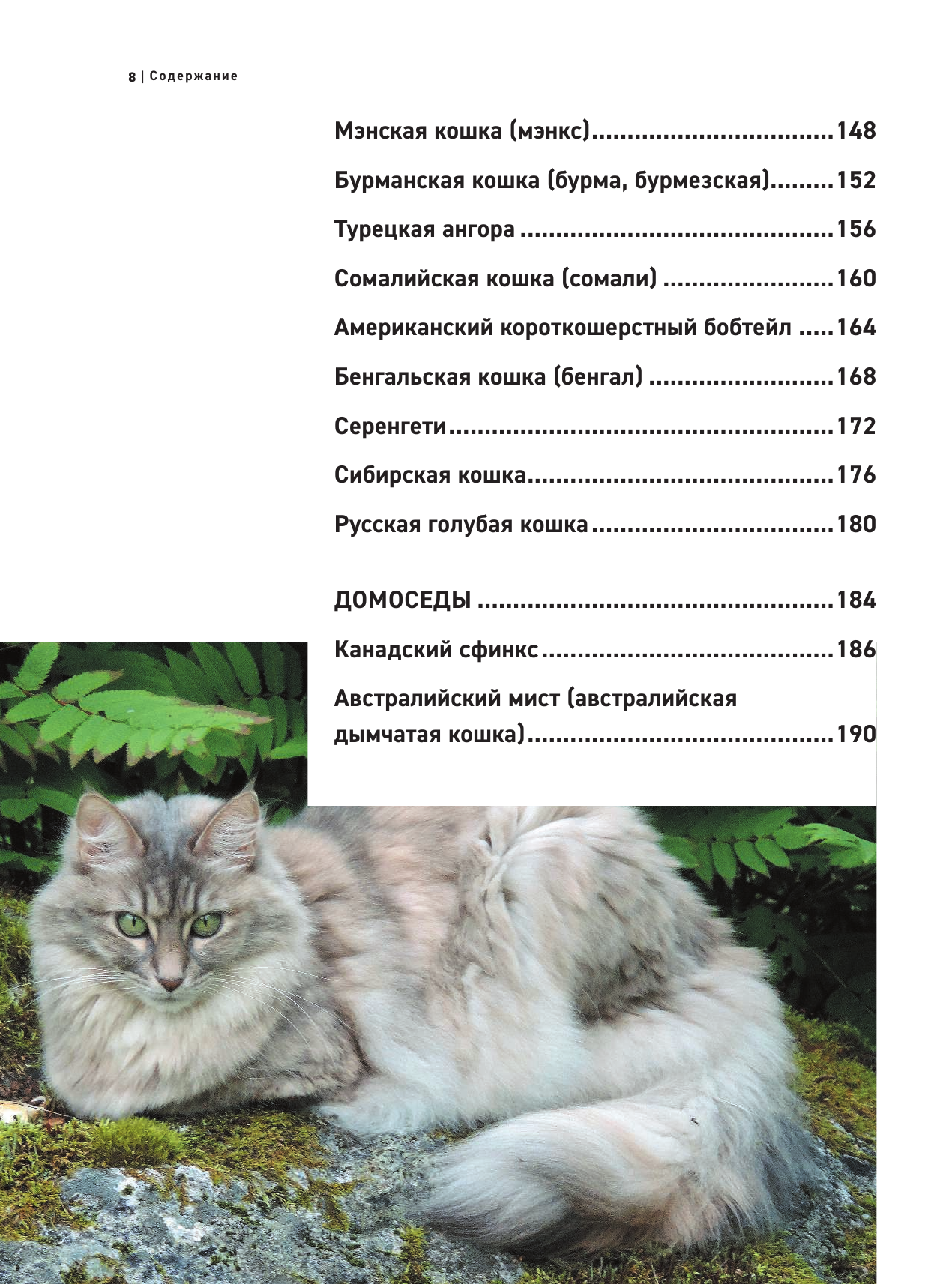 Все породы кошек. Большая иллюстрированная энциклопедия - фото №20
