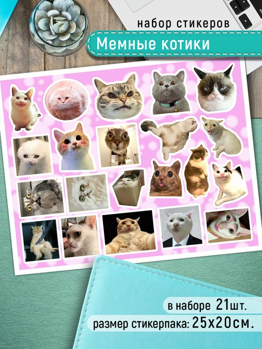 Наклейки Мемные котики Стикеры с котами мемы