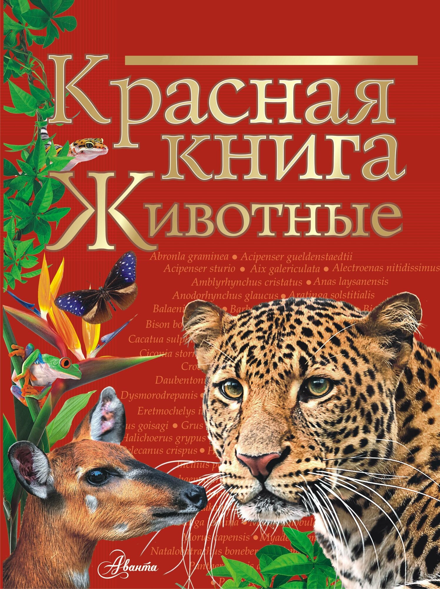 "Красная книга. Животные"Куксина Н. В, Смирнова С. В.