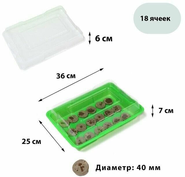 Мини-парник для рассады: торфяная таблетка d - 4,2 см (18 шт), парник 35,5 x 24,5 x 6 см, без вставок, зеленый - фотография № 1