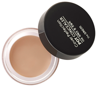 The Saem Консилер-корректор Cover Perfection Pot Concealer 01 Clear Beige