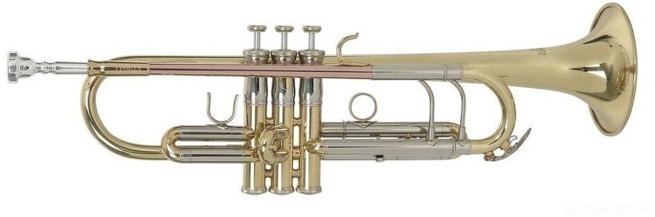 Roy Benson TR-403 Bb труба