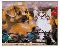 Рыжий кот Картина по номерам "Пушистые друзья" 40х50 см (Q659)