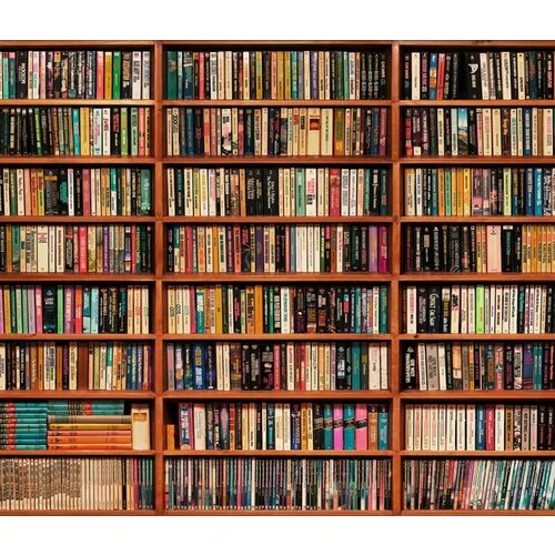 Моющиеся виниловые фотообои Книжные полки, 350х300 см