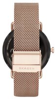 Часы SKAGEN Falster 1 (steel-mesh) gold