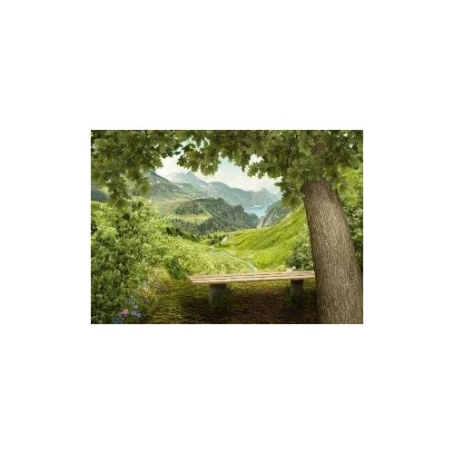 Фотообои Летняя прохлада 272х194см 950₽