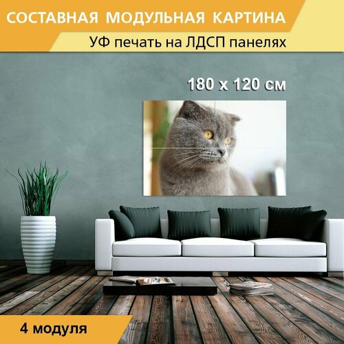 Модульная картина 