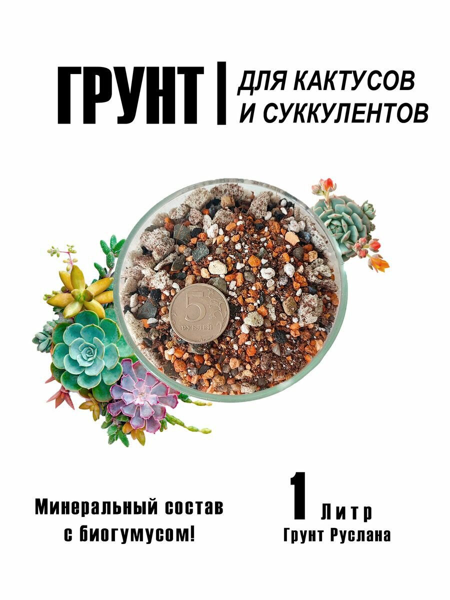 Грунт для кактусов и суккулентов с биогумусом 1л (300гр)