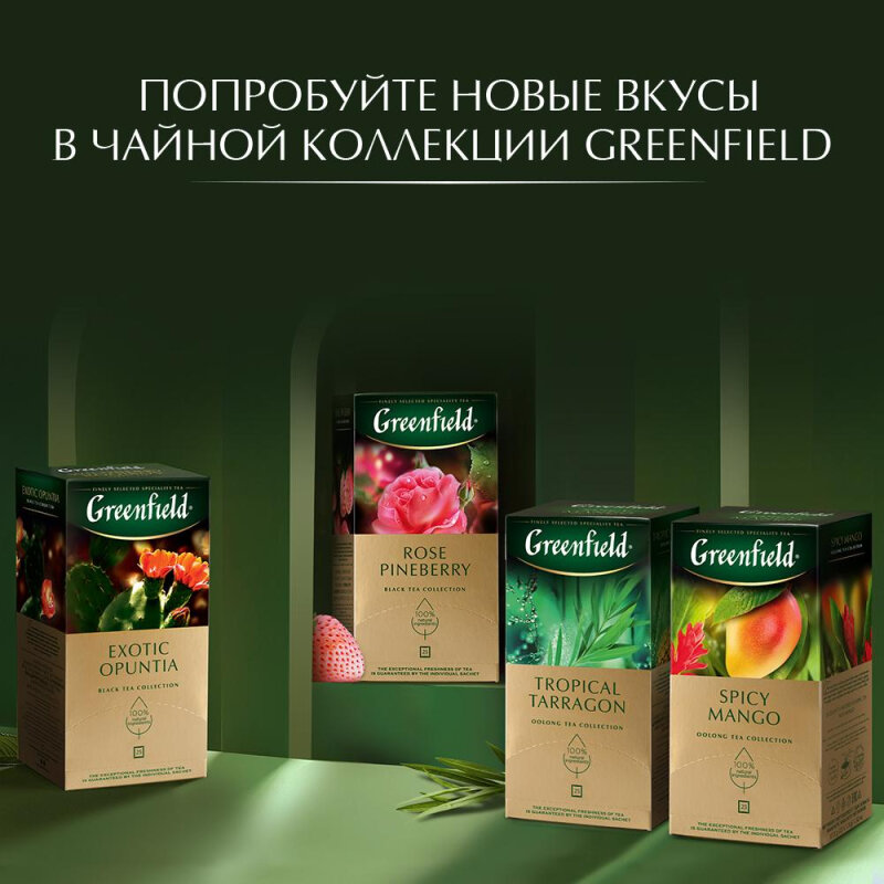 Чай травяной Greenfield Wildberry Rooibos, 25 пакетиков - фото №12