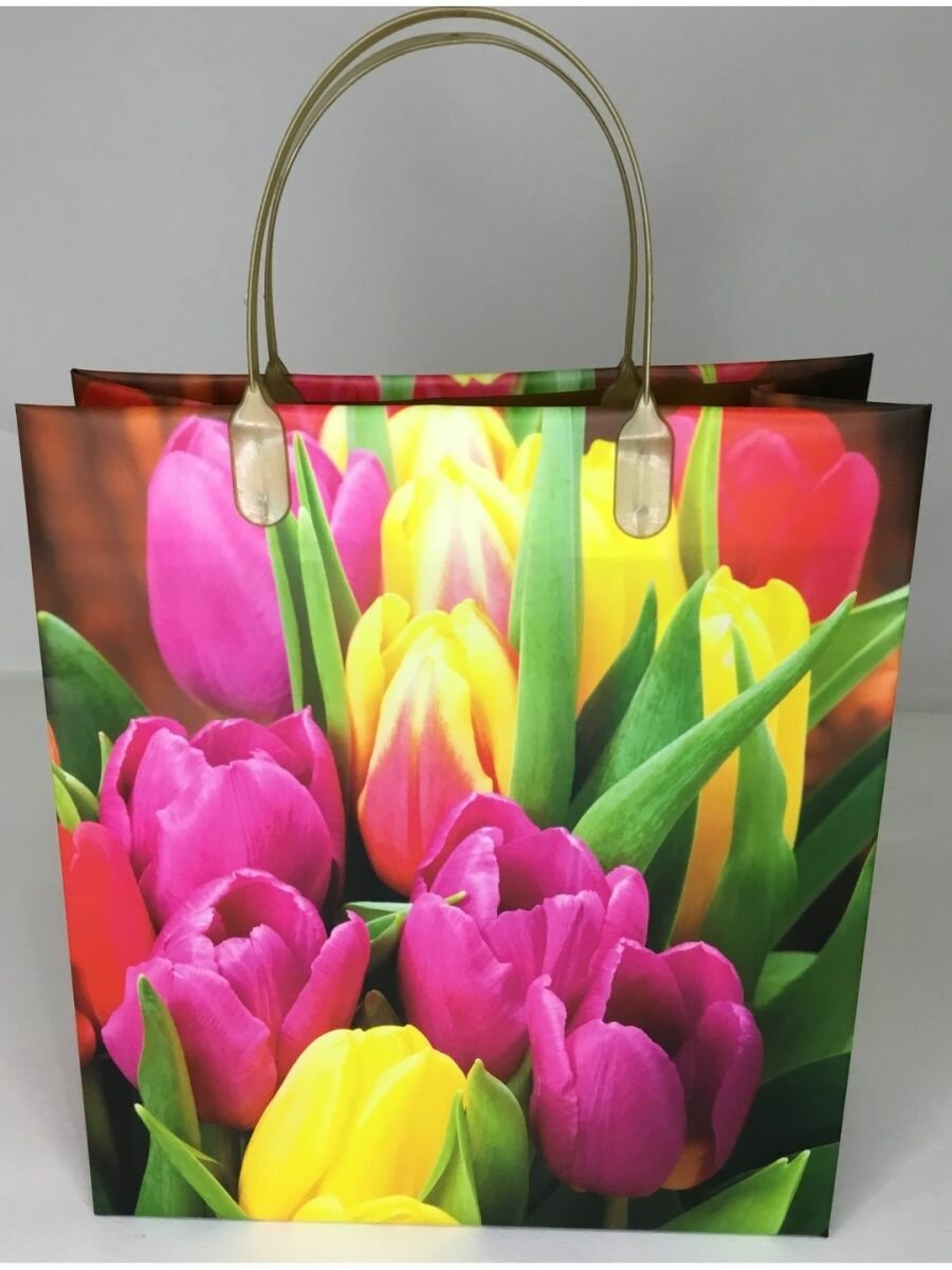 Подарочный пакет пластик 26х23х10см.(набор 3 шт.)