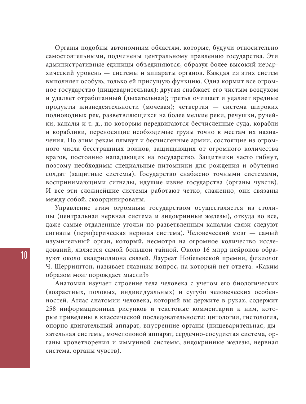 Анатомия человека. Современный атлас с подробными иллюстрациями - фото №12