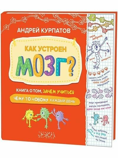 Курпатов Как устроен мозг Книга о том, зачем учиться