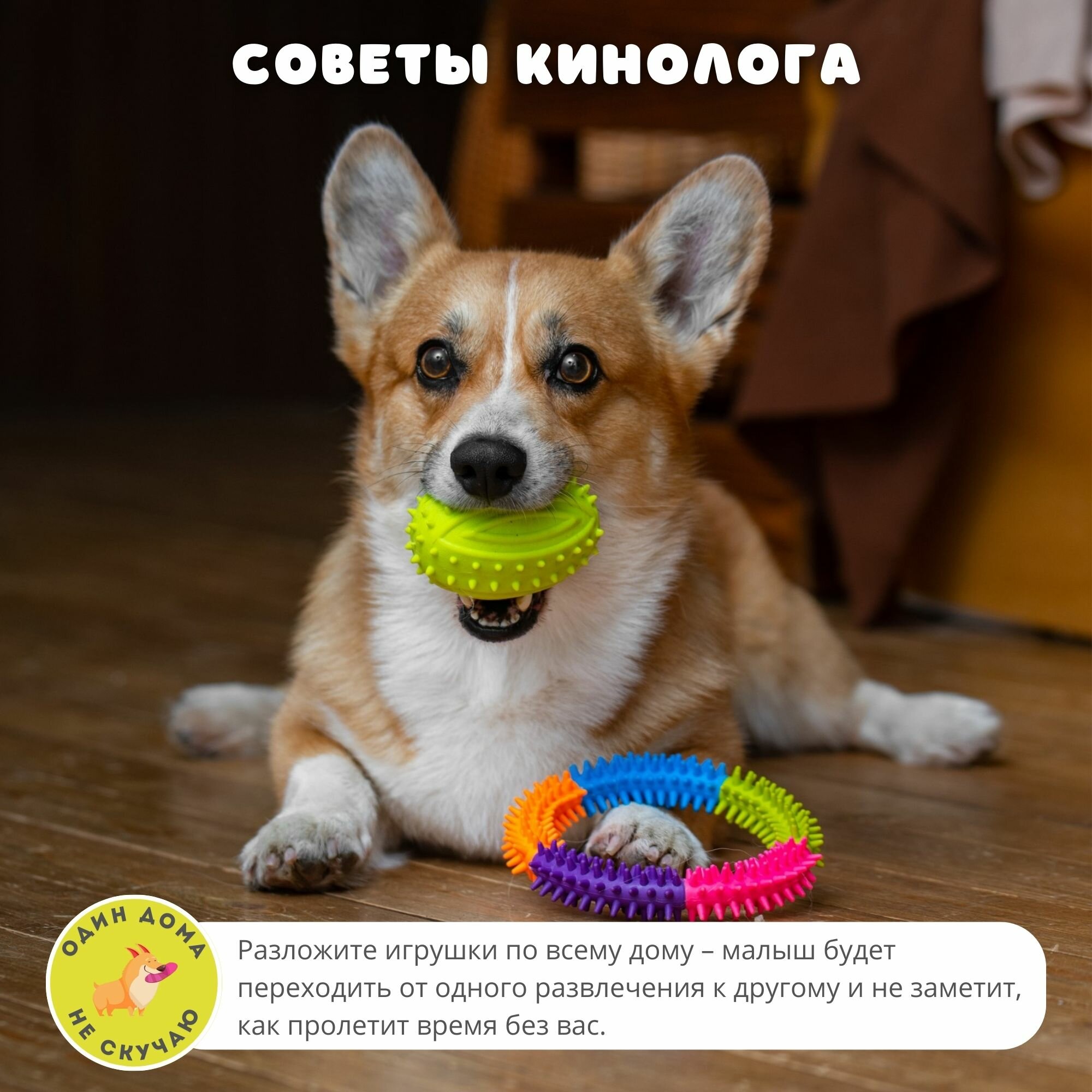 Набор игрушек для собак Petberry - фотография № 19