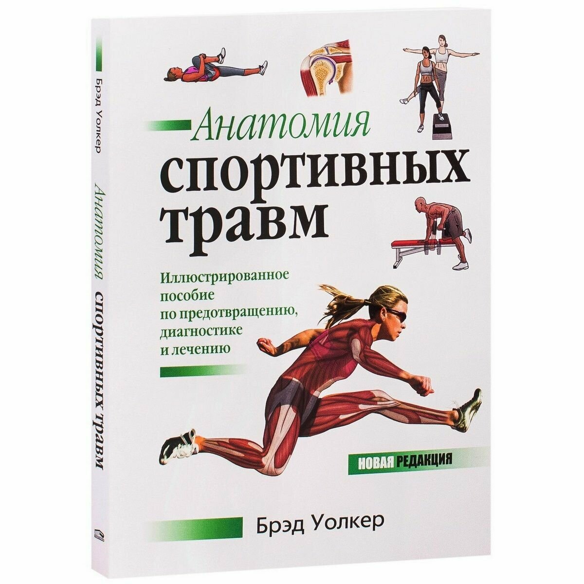 Анатомия спортивных травм (Уолкер Брэд, Белошеев О.Г. (переводчик)) - фото №6