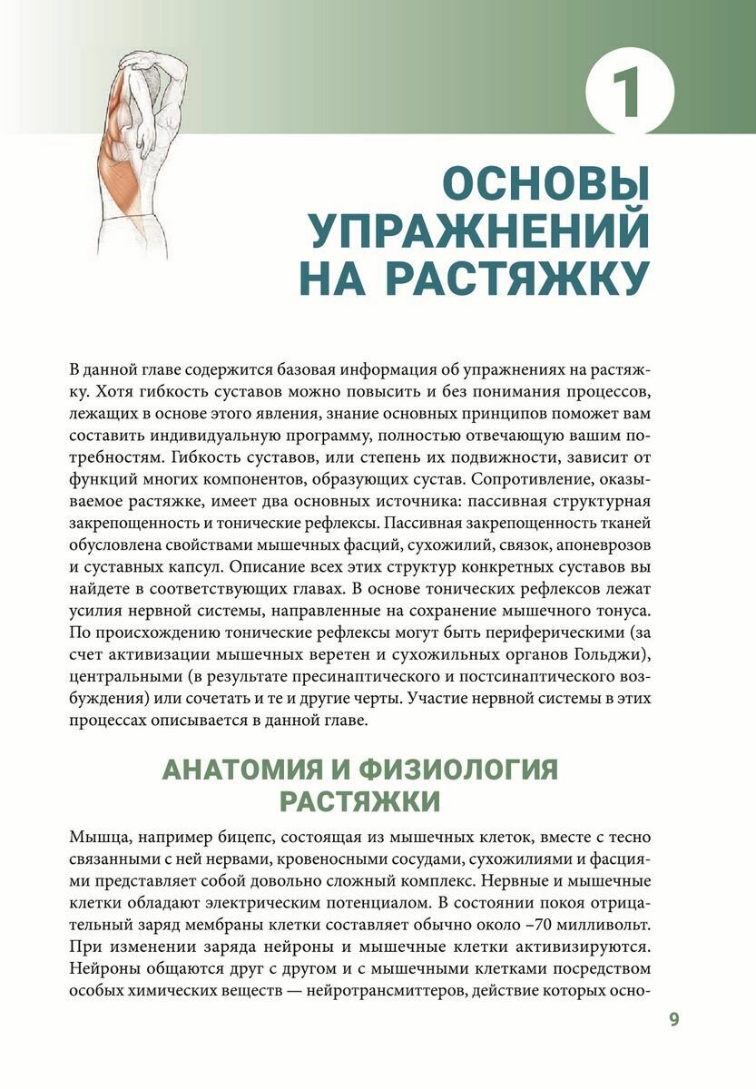 Анатомия упражнений на растяжку. Новейшая редакция - фото №5