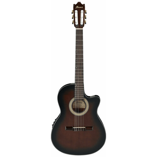 Электроакустика IBANEZ GA35TCE-DVS