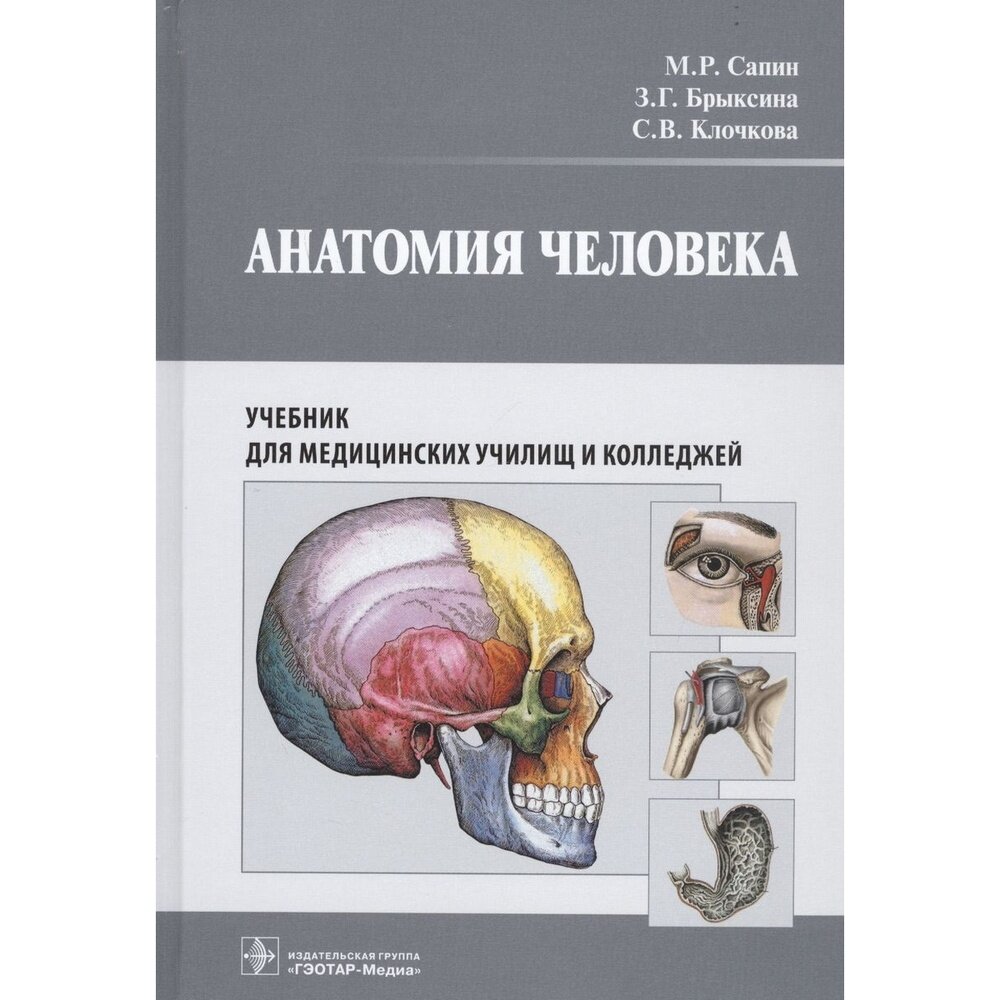 Анатомия человека Учебник для медицинских училищ и колледжей - фото №2