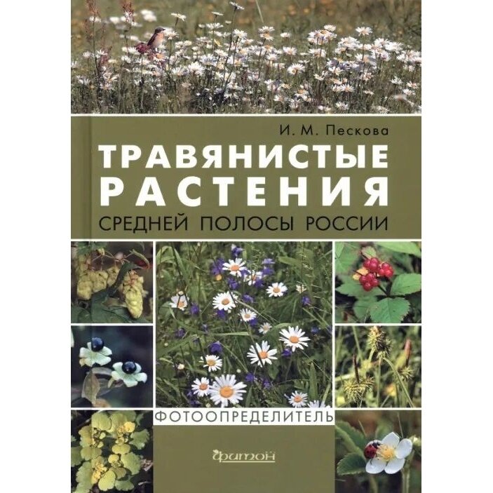 Книга Фитон XXI Травянистые растения средней полосы России. Фотоопределитель. 2023 год, Пескова И.