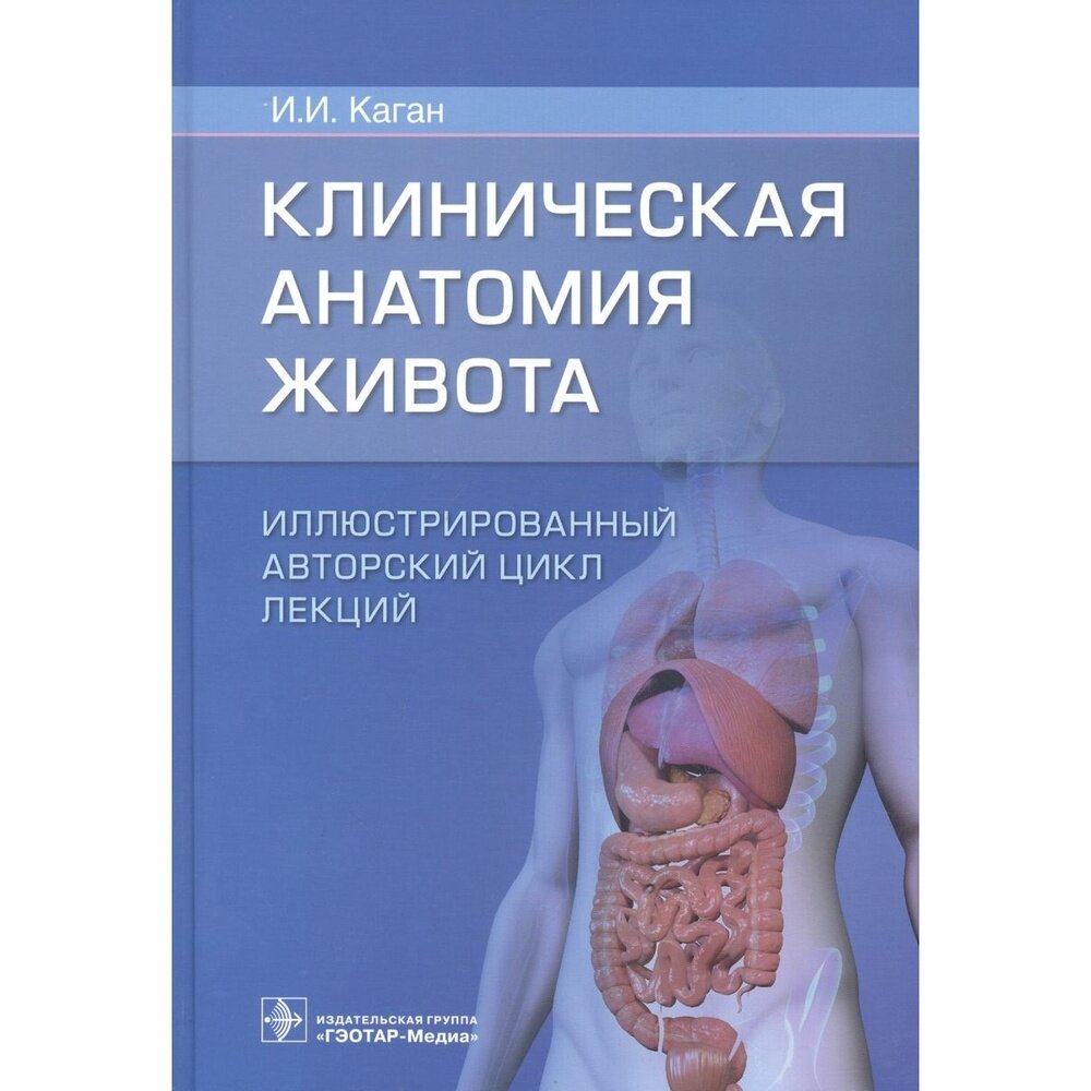 Клиническая анатомия живота Иллюстрированный авторский цикл лекций - фото №2