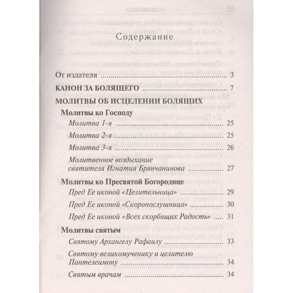 Молитвы о болящих (Зубова Е. (ред.)) - фото №7