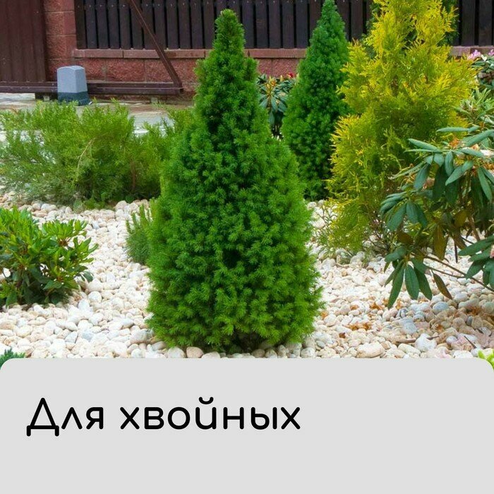 Чехол для растений, конус на завязках, 120 × 100 см, спанбонд с УФ-стабилизатором, плотность 60 г/м², микс - фотография № 4