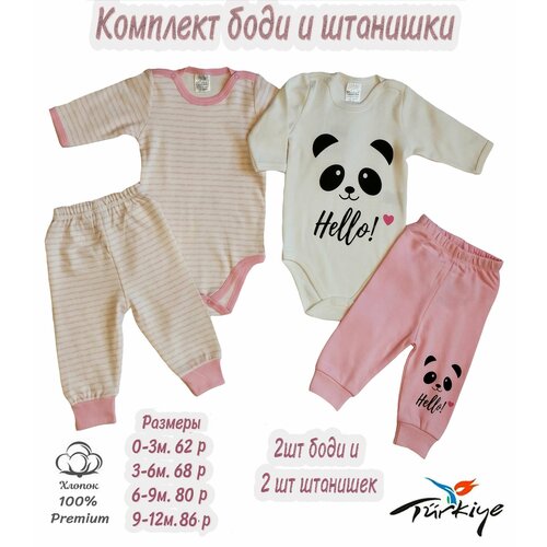 Комплект одежды   детский, трикотажный, застежка под подгузник, размер 6-9мес./74р., розовый, белый