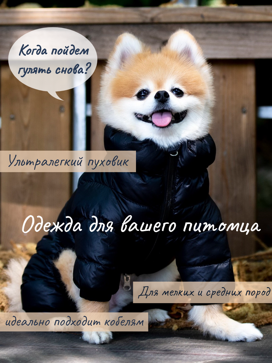 Комбинезон для собак Puppia Ultra Light Jumpesuit B , XL унисекс - фотография № 3