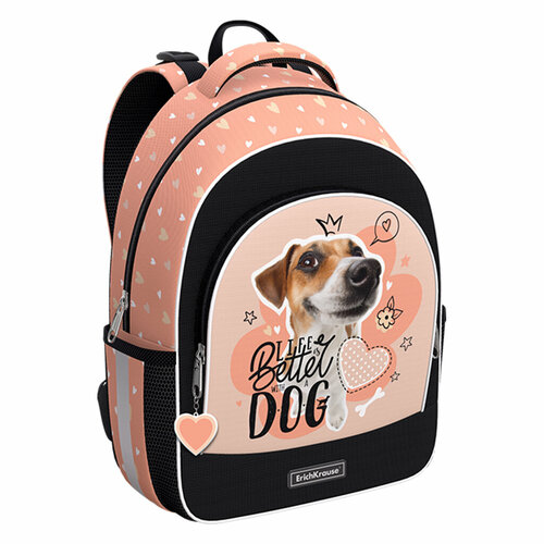 фото Школьный рюкзак с грудной перемычкой erichkrause ergoline 15l jack russell 60096