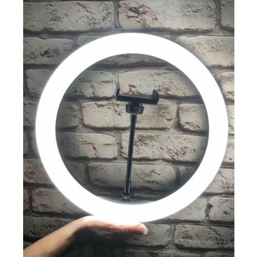 Кольцевая лампа для крутого контента 26 см 67000₽