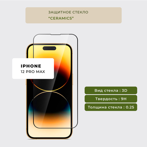 Защитное стекло на iPhone 12 Pro Max