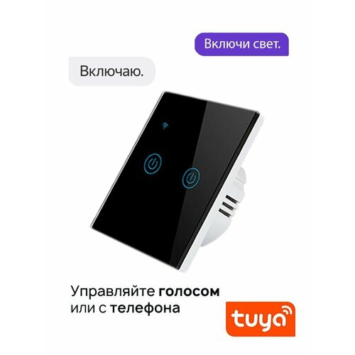 Умный выключатель Wi-Fi универсальный с нулем + конденсатор в комплекте двухклавишный.