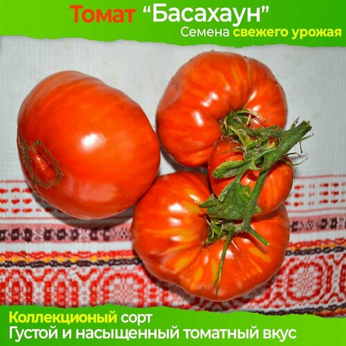 Семена Томат Басаджаун - коллекционный сорт