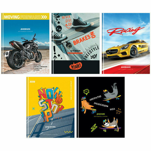 Дневник 1-4 кл. 48л. (твердый) BG 