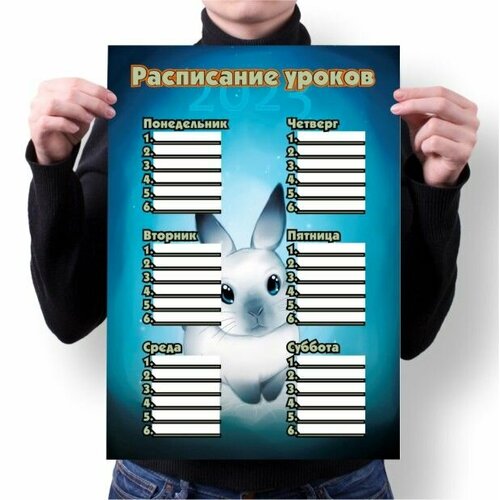 Расписание уроков год Кролика №8, А1