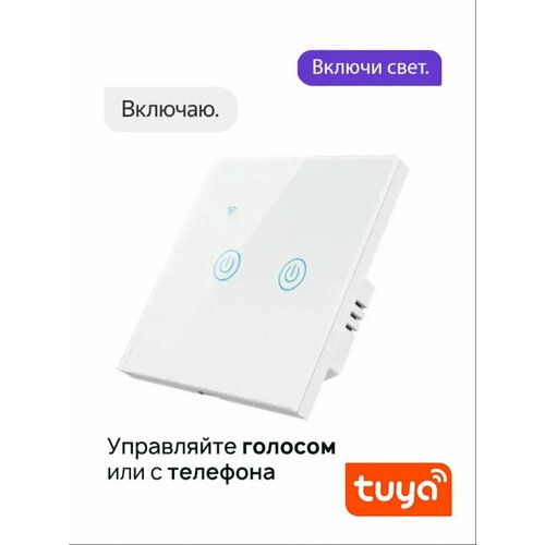 Умный выключатель Wi-Fi универсальный конденсатор в комплекте двухклавишный