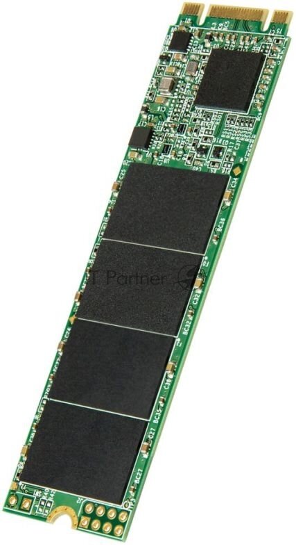 M.2 Transcend MTS820 240Gb (TS240GMTS820) - фото №12