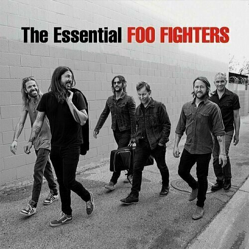 Виниловая пластинка Foo Fighters - The Essential 2LP