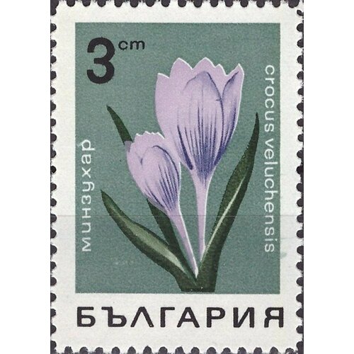 (1968-015) Марка Болгария Шафран велухский Горные цветы II Θ 1968 014 марка болгария горечавка бесстебельная горные цветы ii o