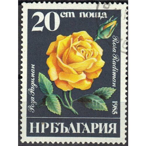 (1985-056) Марка Болгария Роза Радиман Розы II Θ