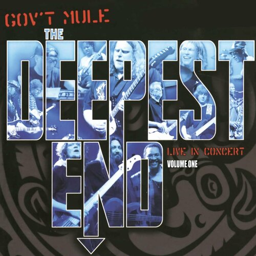 виниловая пластинка разные q107 homegrown 88 volume 10 lp Gov't Mule Виниловая пластинка Gov't Mule Deepest End - Volume One