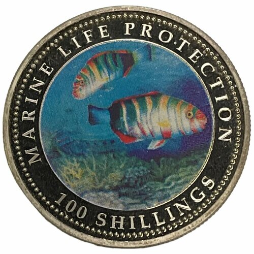 Сомали 100 шиллингов 2003 г. (Защита морской жизни - Рыбы) (Proof) клуб нумизмат монета 150 шиллингов сомали 2000 года серебро новое тысячелетие
