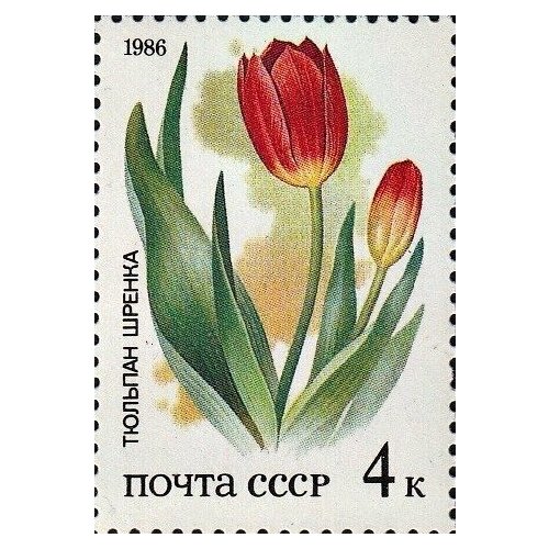 (1986-006) Марка СССР Тюльпаны Красная книга СССР. Степные растения III Θ