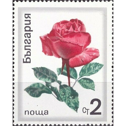(1970-029) Марка Болгария Красная роза Розы III Θ 1970 033 марка болгария роза с бутонами розы i θ
