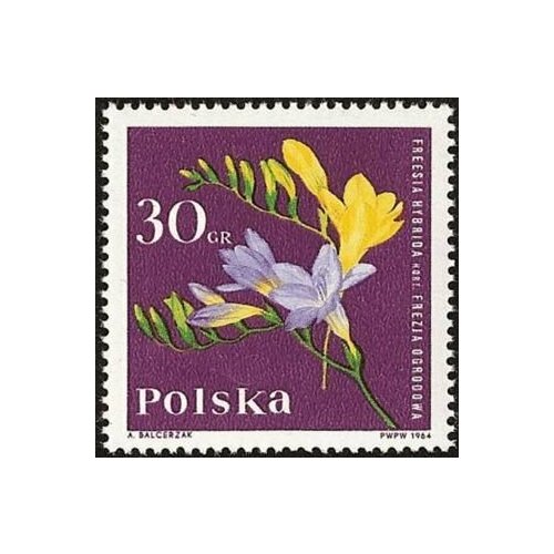 (1964-084) Марка Польша Фрезия Садовые цветы I Θ 1964 084 марка польша фрезия iii o