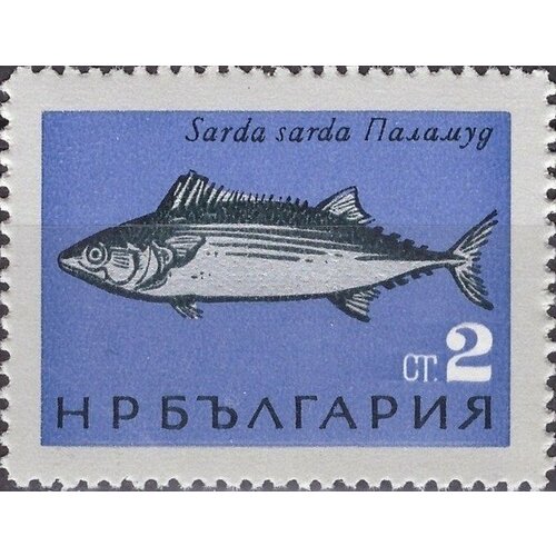 (1965-035) Марка Болгария Пеламида Рыбы Чёрного моря III Θ