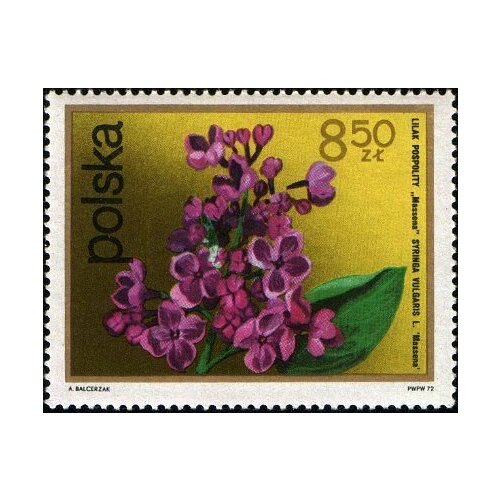 (1972-080) Марка Польша Сирень Кустарниковые Цветы II Θ