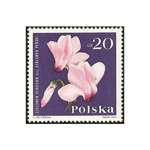 (1964-083) Марка Польша Цикламен персидский Садовые цветы II Θ